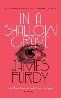 Produktbild: In a Shallow Grave (Valancourt 20th Century Classics)