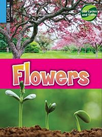 Produktbild: Flowers