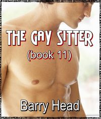 Produktbild: The Gay Sitter Book 8