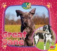 Produktbild: Great Dane