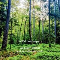 Produktbild: Im Wald verborgen - wo Leben w&auml;chst und sich leise versteckt