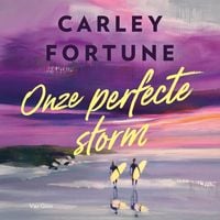 Produktbild: Onze perfecte storm