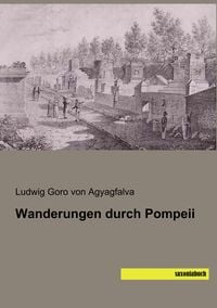 Produktbild: Wanderungen durch Pompeii