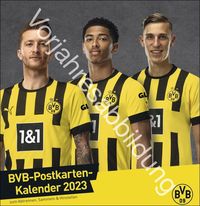 BVB Postkartenkalender 2024. Kleiner Kalender für große Fans: Die Stars von Borussia Dortmund in einem Tischkalender zum Aufstellen oder Aufhängen. von |Heye