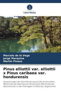 Produktbild: Pinus elliottii var. elliottii x Pinus caribaea var. hondurensis
