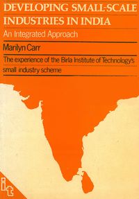 Produktbild: Developing Small-scale Industries in India