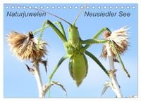 Produktbild: Naturjuwelen - Neusiedler See (Tischkalender 2027 DIN A5 quer), CALVENDO Monatskalender