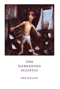 Produktbild: The Darkening Ecliptic