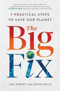 Produktbild: The Big Fix