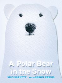 Bild vom Artikel A Polar Bear in the Snow vom Autor Mac Barnett