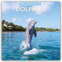 Produktbild: Dolphins &ndash; Delfine 2027 &ndash; 16-Monatskalender