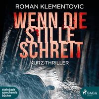 Produktbild: Wenn die Stille schreit