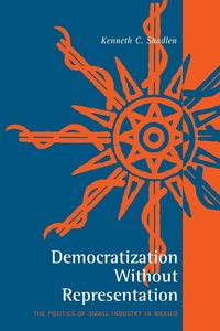 Produktbild: Democratization Without Representation