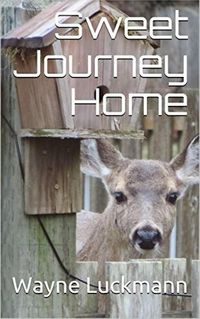 Produktbild: Sweet Journey Home