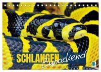 Produktbild: Schlangen: Zupackend (Tischkalender 2026 DIN A5 quer), CALVENDO Monatskalender