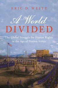 Produktbild: World Divided