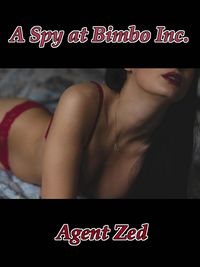 Produktbild: A Spy at Bimbo Inc.