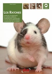 Produktbild: Los ratones: La elecci&oacute;n, el alojamiento, los cuidados cotidianos, la reproducci&oacute;n, la prevenci&oacute;n y la cura de las enfermedades, la preparaci&oacute;n de un