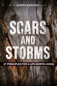 Produktbild: Scars and Storms