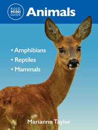 Produktbild: Reed Mini Guide