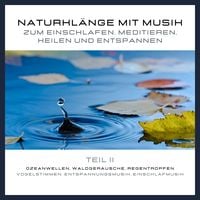 Produktbild: Naturkl&auml;nge mit Musik zum Einschlafen, Meditieren, Heilen und Entspannen - Teil 2