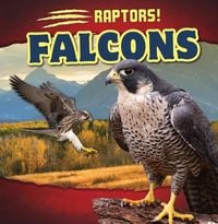 Produktbild: Falcons