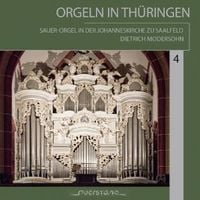 Produktbild: Orgeln In Th&uuml;ringen Vol. 4