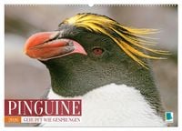 Produktbild: Pinguine: Gehupft wie gesprungen (Wandkalender 2026 DIN A2 quer), CALVENDO Monatskalender