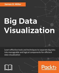 Produktbild: Big Data Visualization