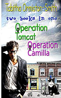 Produktbild: Operation Tomcat Volume 1