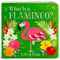 Produktbild: What Is a Flamingo?
