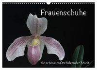 Produktbild: Frauenschuhe - die sch&ouml;nsten Orchideen der Welt (Wandkalender 2026 DIN A3 quer), CALVENDO Monatskalender