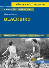 Bild vom Artikel Blackbird von Matthias Brandt vom Autor Sabine Hasenbach