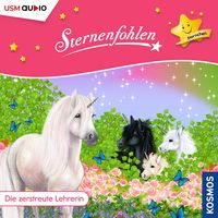 Produktbild: Die zerstreute Lehrerin