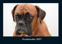 Produktbild: Hundezauber 2027 Fotokalender DIN A4