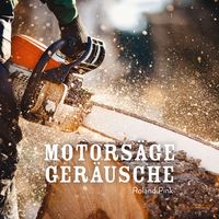 Produktbild: Motors&auml;ge Ger&auml;usche