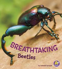 Produktbild: Breathtaking Beetles