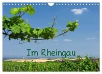 Produktbild: Im Rheingau (Wandkalender 2027 DIN A4 quer), CALVENDO Monatskalender