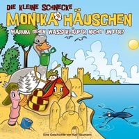Produktbild: 56: Warum gehen Wasserl&auml;ufer nicht unter?