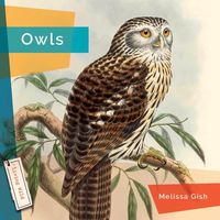 Produktbild: Owls