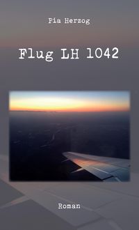 Produktbild: Flug LH 1042