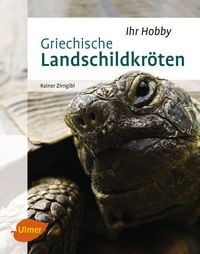 Produktbild: Griechische Landschildkr&ouml;ten