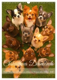 Produktbild: Chihuahua Diamonds &ndash; Magic Moments mit unseren sch&ouml;nsten Welpen aller Zeiten (Wandkalender 2026 DIN A3 hoch), CALVENDO Monatskalender