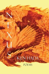 Produktbild: Nexus