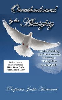 Produktbild: Overshadowed by the Almighty
