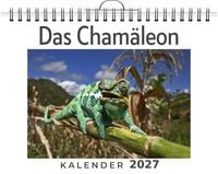 Produktbild: Das Cham&auml;leon