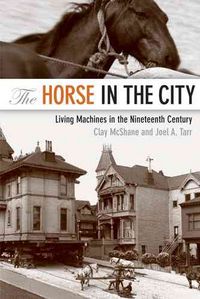 Produktbild: The Horse in the City