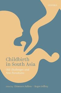 Produktbild: Childbirth in South Asia