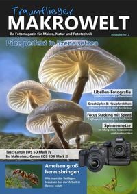 Produktbild: Traumflieger Makrowelt Ausgabe Nr. 2