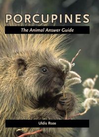 Produktbild: Porcupines